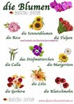 Blumen Namen Related Keywords & Suggestions - Blumen Namen L